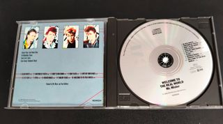 Mr. Mister 