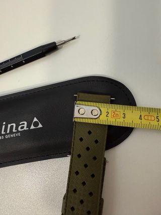 Correa Alpina - Verde Oliva