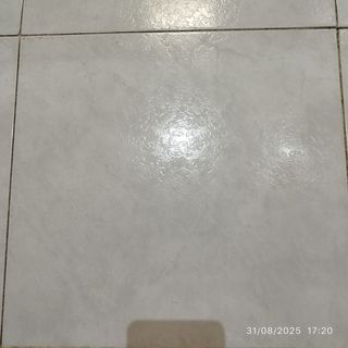 Azulejos cerámica suelo/pared