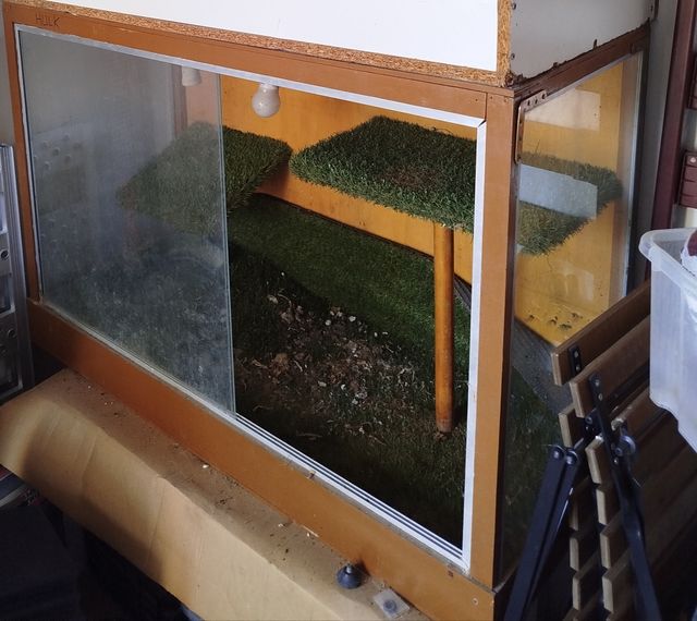 Terrario de madera y cristal para reptiles