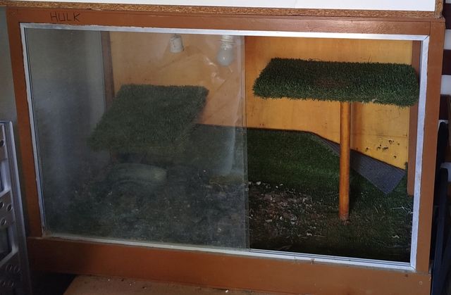 Terrario de madera y cristal para reptiles