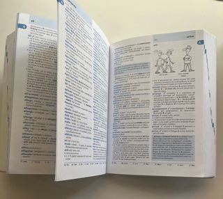 Diccionario Valenciano CARAMULL AVANÇAT SM