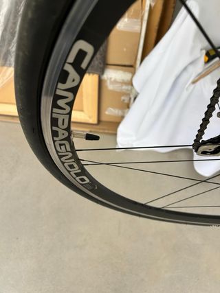 Bicicleta WILIER  triestina M/L 
CAMPAGNOLO