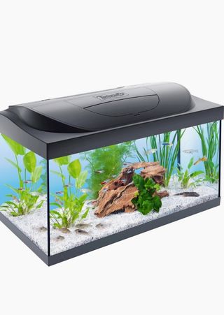 Acuario Tetra 54L 