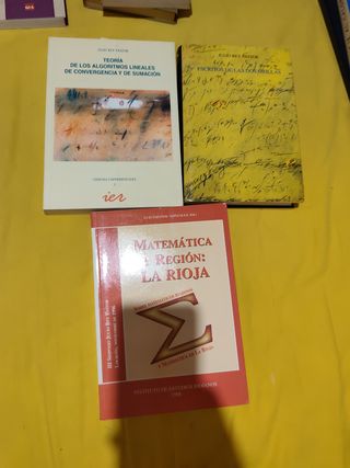 Lote de libros de matemáticas 