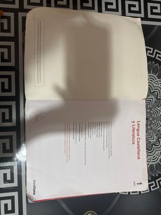 LENGUA CASTELLANA Y LITERATURA SERIE ABIERTA 1 ESO