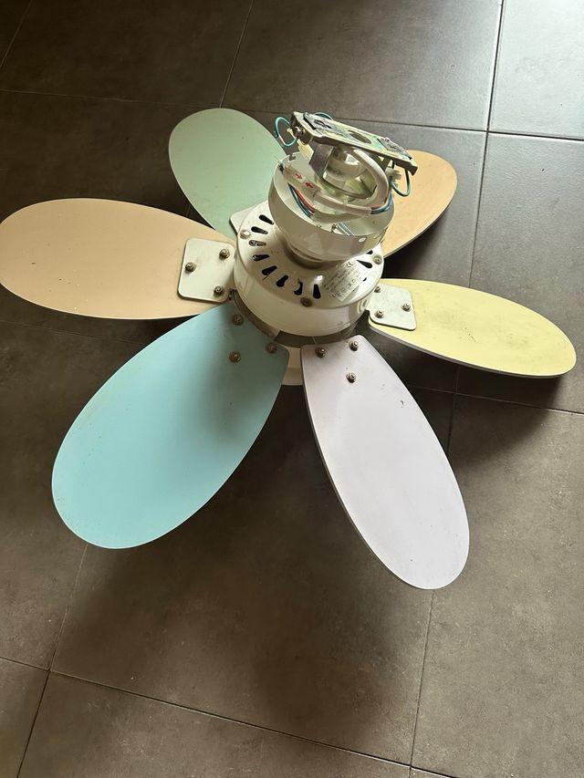 Ventilador techo multicolor funcionando