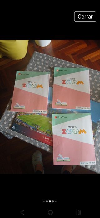 LENGUA 2 (2.1-2.2-2.3) ZOOM