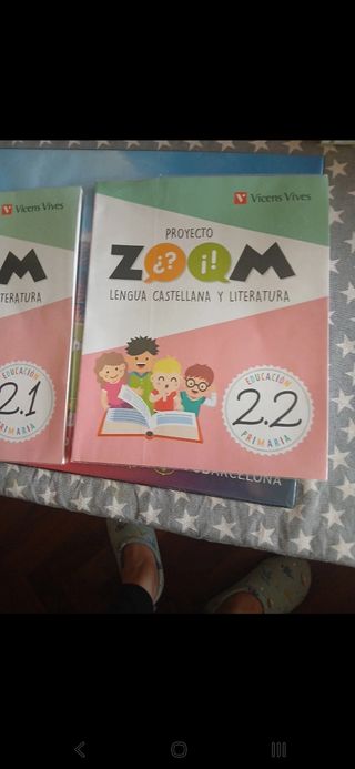 LENGUA 2 (2.1-2.2-2.3) ZOOM