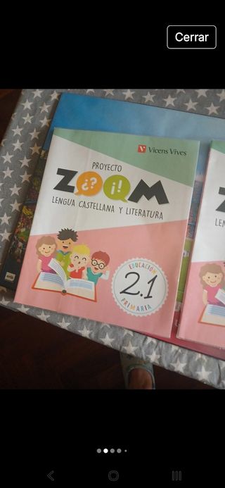 LENGUA 2 (2.1-2.2-2.3) ZOOM