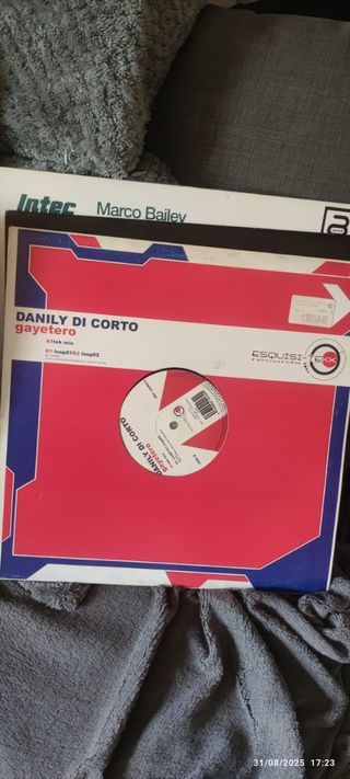 Lote de discos de música electrónica antigua.