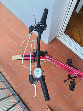 Bicicleta niña WCR 20" rosa