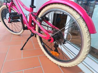 Bicicleta niña WCR 20" rosa