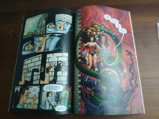 Lote Wonder Woman