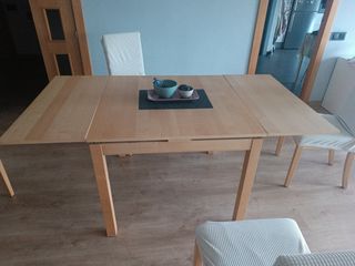 Mesa comedor + 4 sillas con fundas.