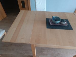 Mesa comedor + 4 sillas con fundas.