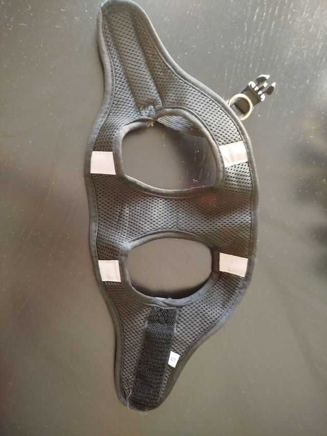 Arnés Perro - Diseño Dinosaurios