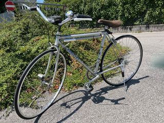 Bicicletta Vintage Rodigina