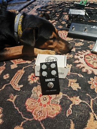 Pedal Overdrive J. Rockett Animal