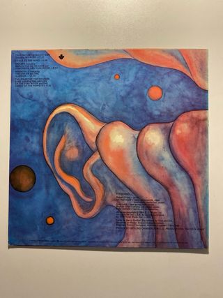 King Crimson, In the Court of... vinile ristampa