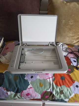 Impresora Canon PIXMA MG2450 - Gris