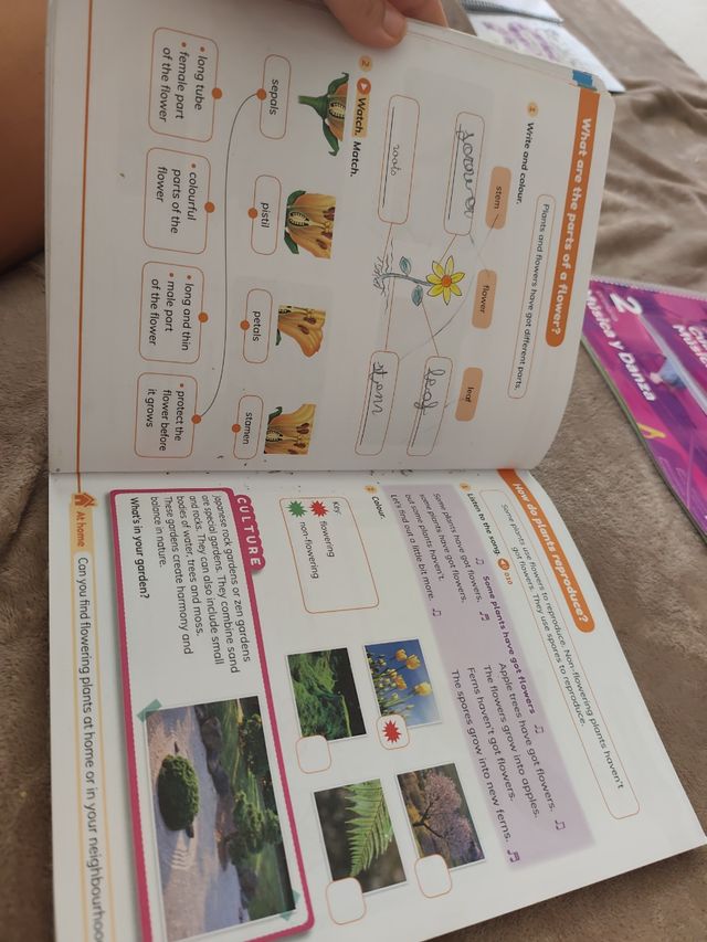 CLIL World 2 - Natural & Social Sciences