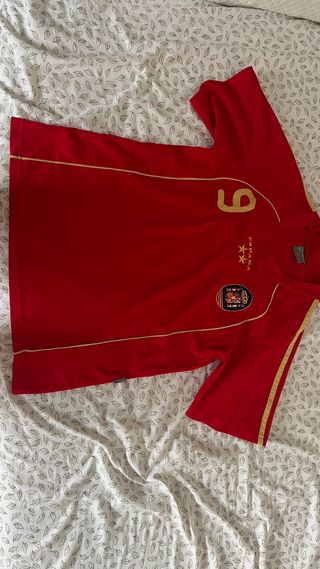 Camiseta españa Torres