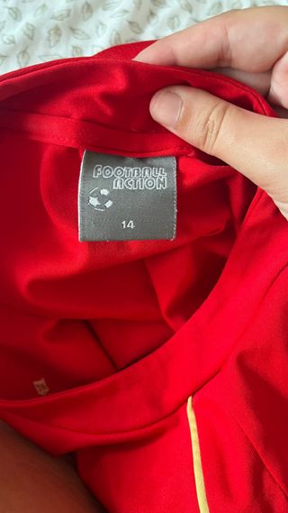 Camiseta españa Torres