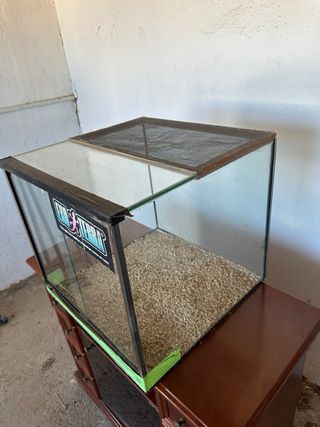 Pack de terrarios y rack