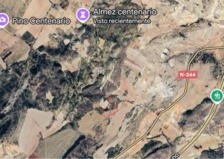 Terreno rústico Yecla