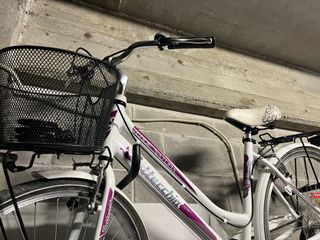 Bici donna Verde Natura - Bicicletta