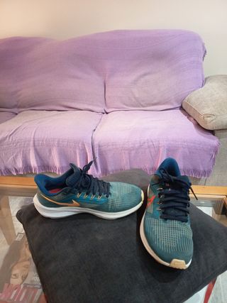 Zapatillas Nike Pegasus 39 - Talla 41