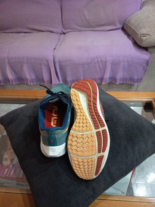 Zapatillas Nike Pegasus 39 - Talla 41
