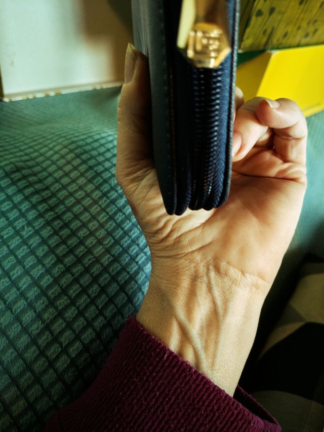 Portafoglio Guy Laroche - Blu