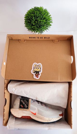 T42 - Nike Pegasus Trail 5 GTX - pure platinum