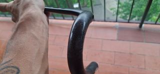 Manillar Progress PG243 carbono