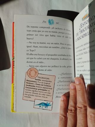 2 libros de Gerónimo Stilton 