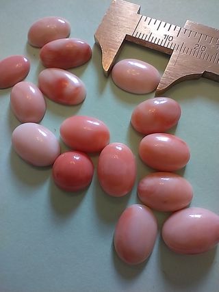 15 Cabochon Corallo Rosa