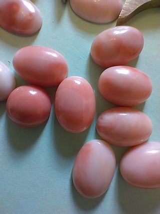 15 Cabochon Corallo Rosa