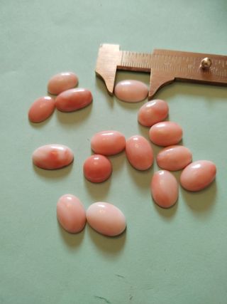 15 Cabochon Corallo Rosa