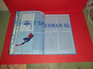 Spiderman: Blue - Loeb & Sale