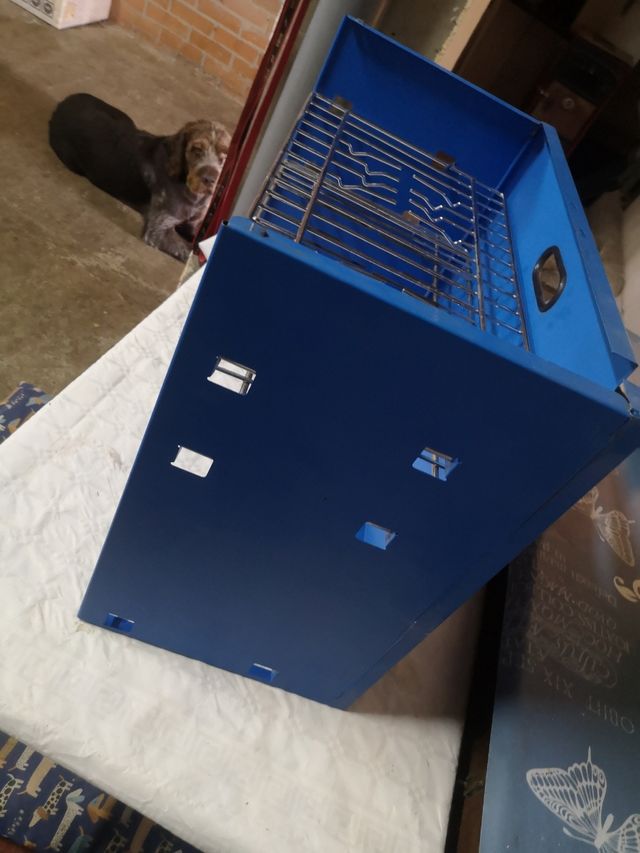 Paravientos Camping Azul