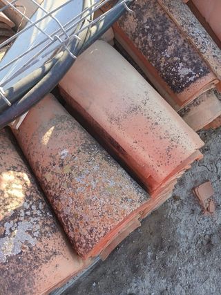 Tejas curvas antiguas 