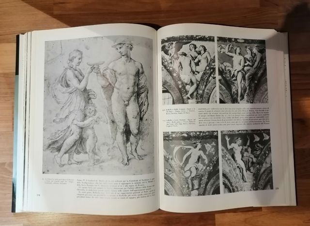 Raffaello: La Pittura, I Disegni