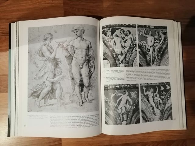 Raffaello: La Pittura, I Disegni