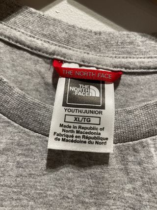 Camiseta The North Face gris-azul
