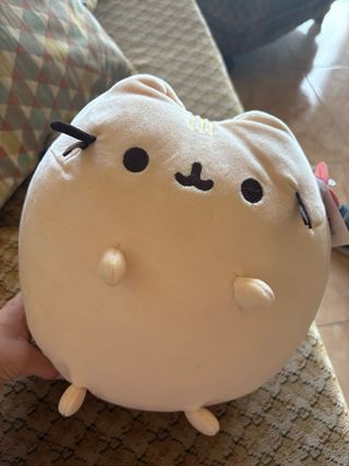 peluche pusheen