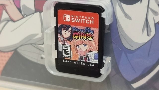 River City Girl per Nintendo switch e Oled Pal USA