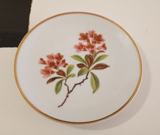 PLATO PEQUEÑO DE POSTRE DE PORCELANA WUNSIEDEL 