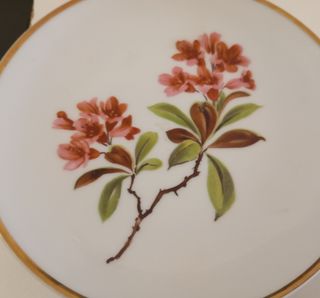 PLATO PEQUEÑO DE POSTRE DE PORCELANA WUNSIEDEL 